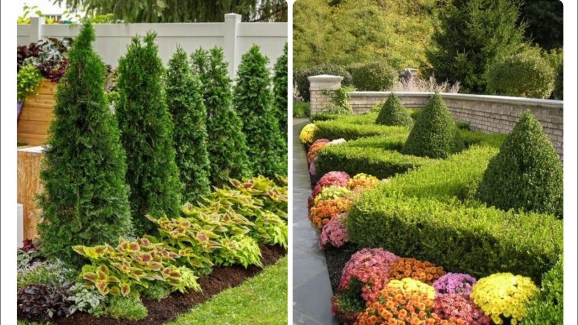 Ideas for small garden design | Small yard landscaping ideas