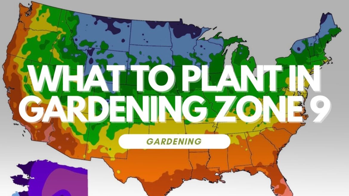 What to Plant in Gardening Zone 9