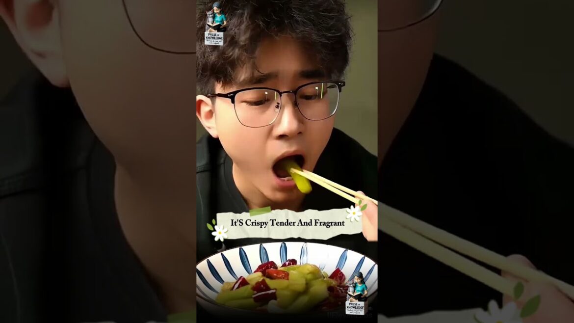 Edible cactus, can be planted for viewing bloom and bear fruit, beautiful and delicious#shortsvideo Edible cactus, can be planted for viewing bloom and bear fruit, beautiful and delicious#shortsvideo