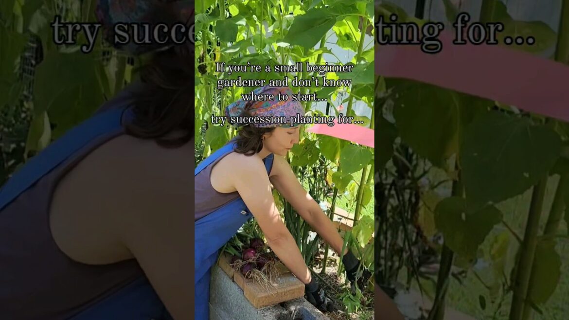 This Is What I’d Do As A Beginner Gardener! This Is What I'd Do As A Beginner Gardener!