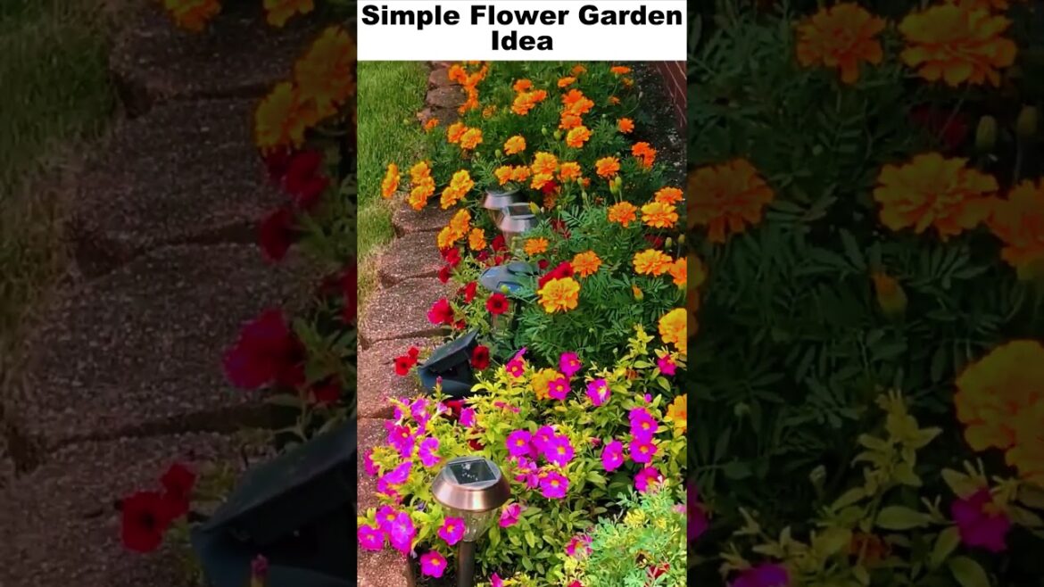 simple flower garden ideas #shorts #viral #flowers #flower #garden #gardenideas