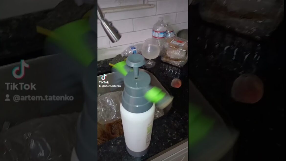 Urban Backyard Garden HomeGrown Cigar Tobacco Seed Start Propagation