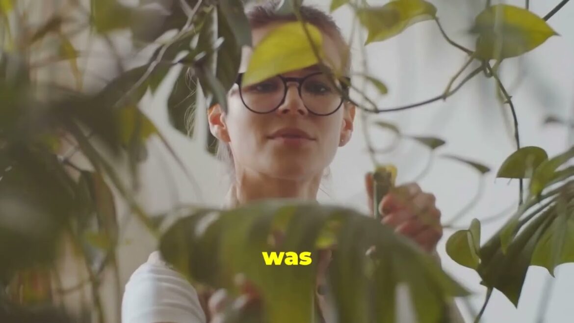 The Hidden World of Urban Gardening: Grow Your Own Food in the City 🌱🌇