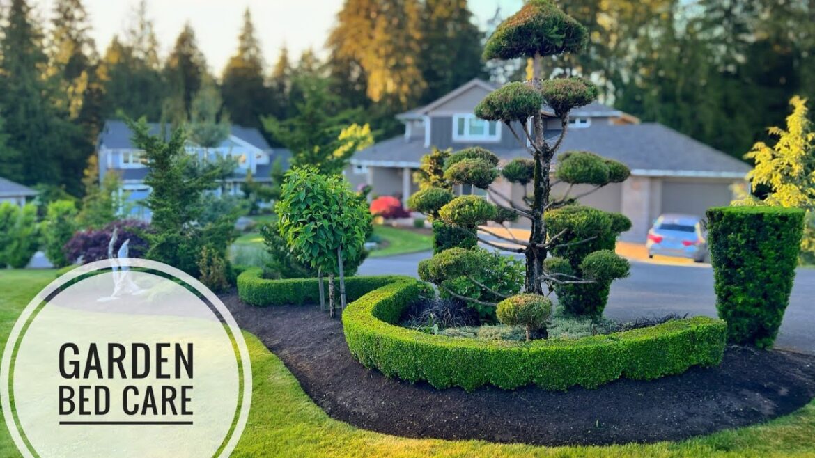Landscape Bed Care ✂️ Gardening Ideas for Home ( Extended Version)🌳2024