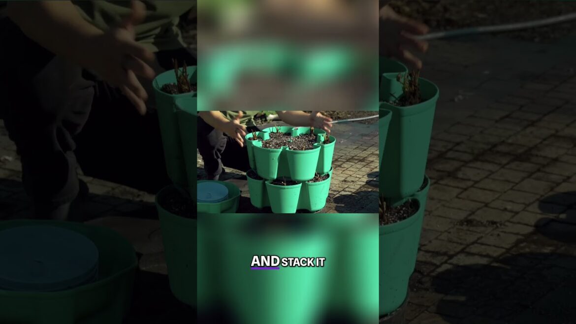 Revolutionize Your Gardening with This Simple Vertical System #garden Revolutionize Your Gardening with This Simple Vertical System #garden