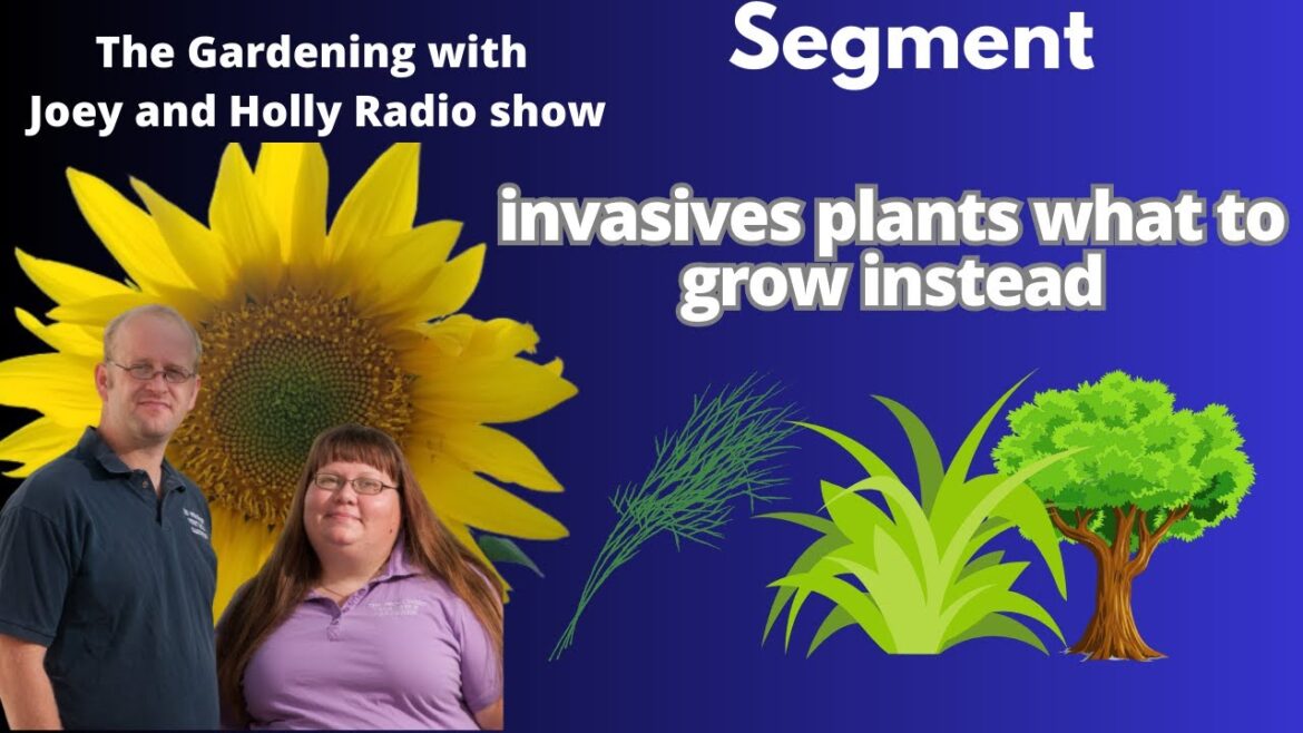 Seg2 S8E17 invasives plants what to grow instead - The Gardening with Joey and Holly Radio Show