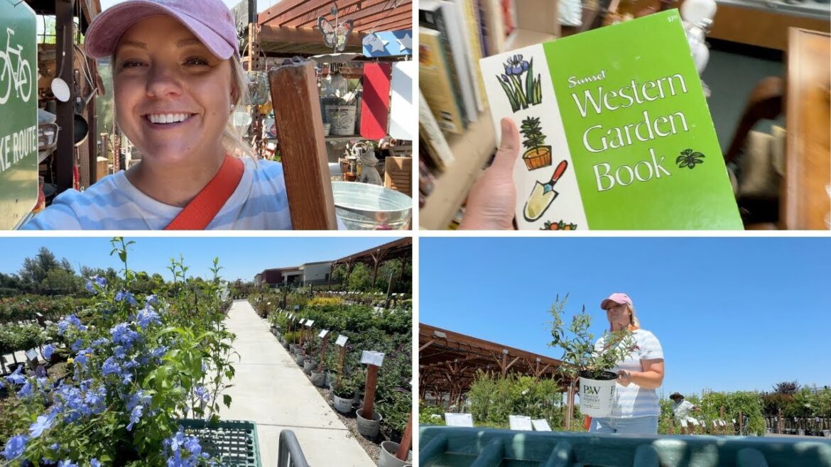 Beating the Heat! 🥵: Shrubs for the June Blooming Garden & Some Antique Store Shopping! 🪴
