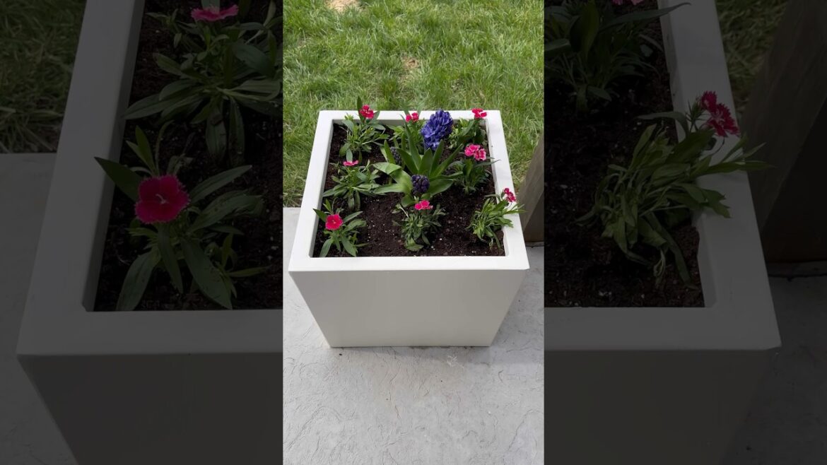 Mini Patio Makeover #patioideas #containergardening