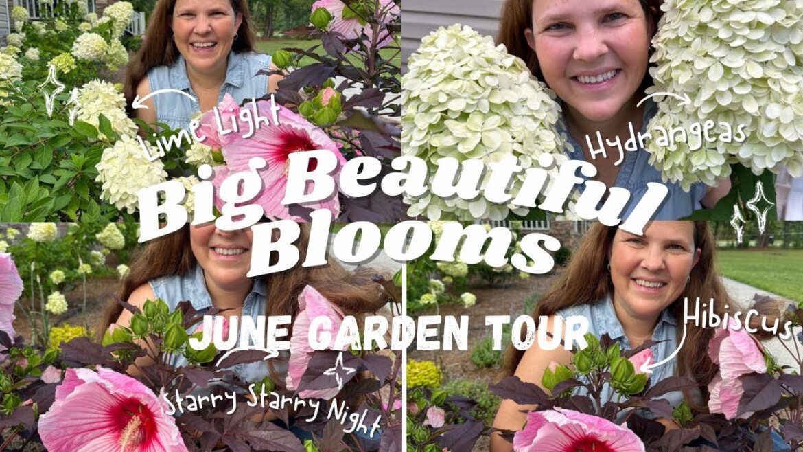 June Garden Tour with Big Beautiful Blooms!! 🌸