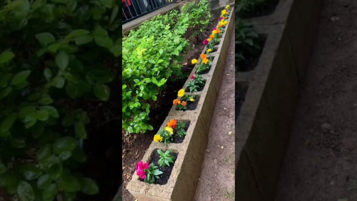 ldeas for small garden design | Small yard landscaping ideas