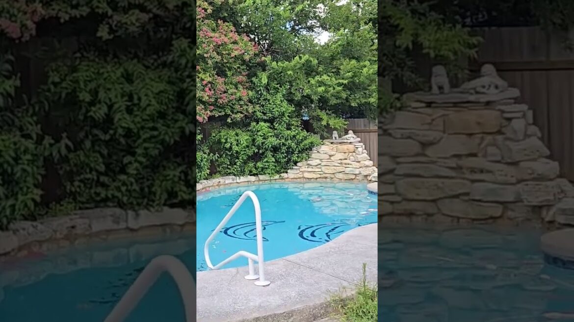 Transforming My Backyard for Summer! Before & After Transformation