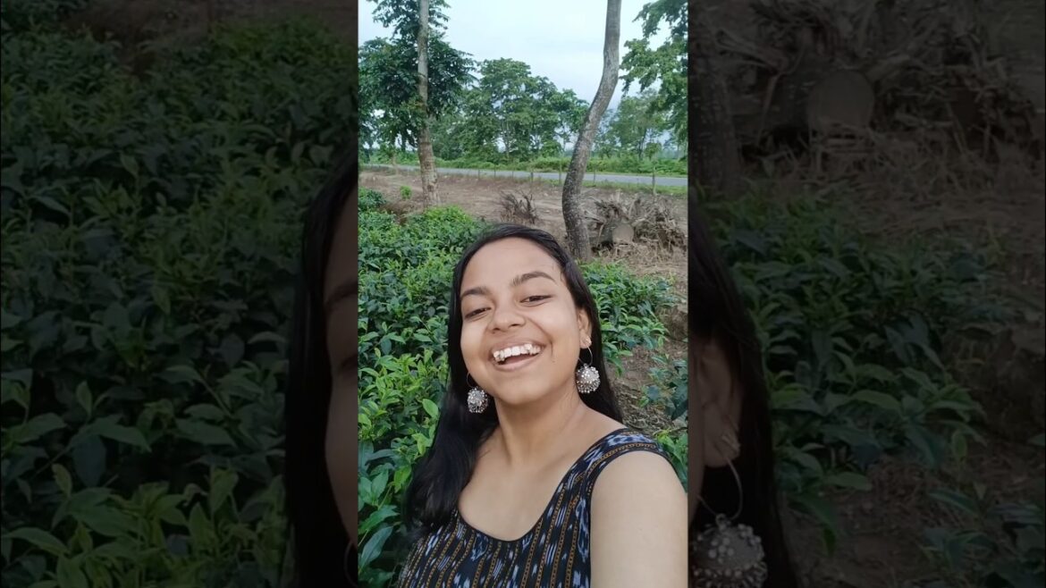 Tea garden 🏡#youtubeshorts #minivlog #trending #viral #shorts Tea garden 🏡#youtubeshorts #minivlog #trending #viral #shorts