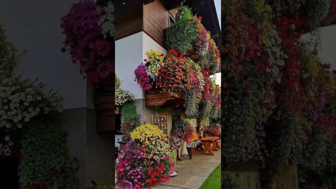 Ideas for small garden design | Small yard landscaping ideas Ideas for small garden design | Small yard landscaping ideas