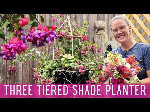 GORGEOUS Three Tiered Planter in The Shade Garden 🌸 || Garden Tour Plans || Snapdragons GORGEOUS Three Tiered Planter in The Shade Garden 🌸 || Garden Tour Plans || Snapdragons