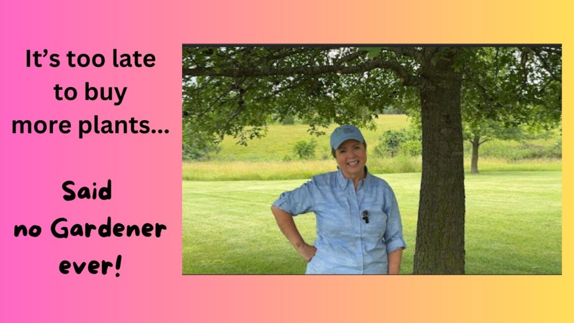 It's too late to buy more plants...said no Gardener ever!