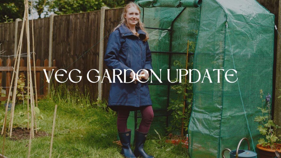 Growth Update In The Veg Garden PLUS My Future Plans | Jazmine’s Country Journal Growth Update In The Veg Garden PLUS My Future Plans | Jazmine's Country Journal