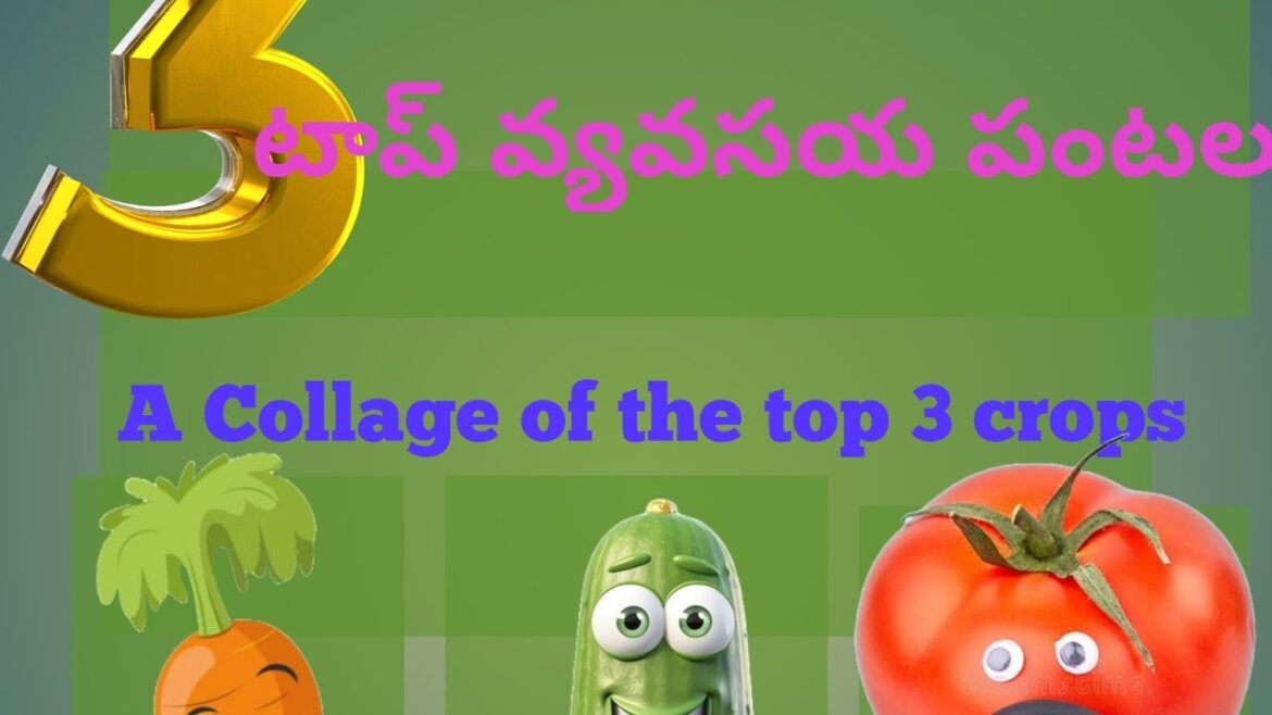 "Top 3 Crops for Beginners in Agriculture ".#gardening for beginners # vegetable gardening