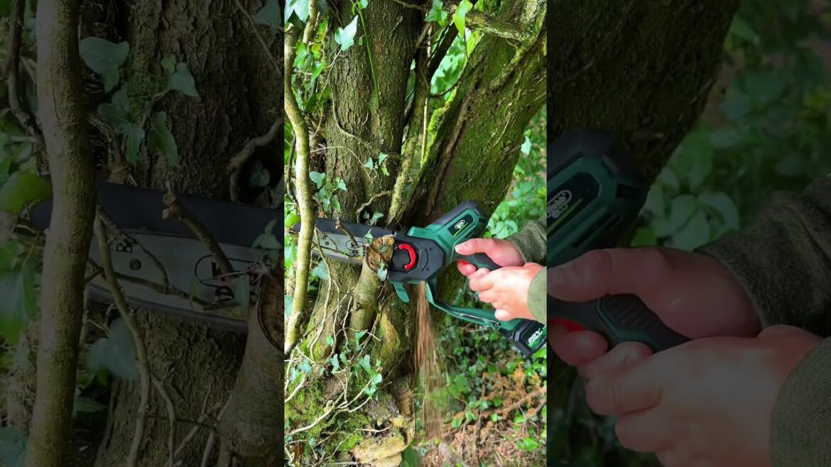 Lightweight, Budget Friendly Cordless Garden Tools - Webb Lawnmower - Hedgetrimmer - Blower - Pruner