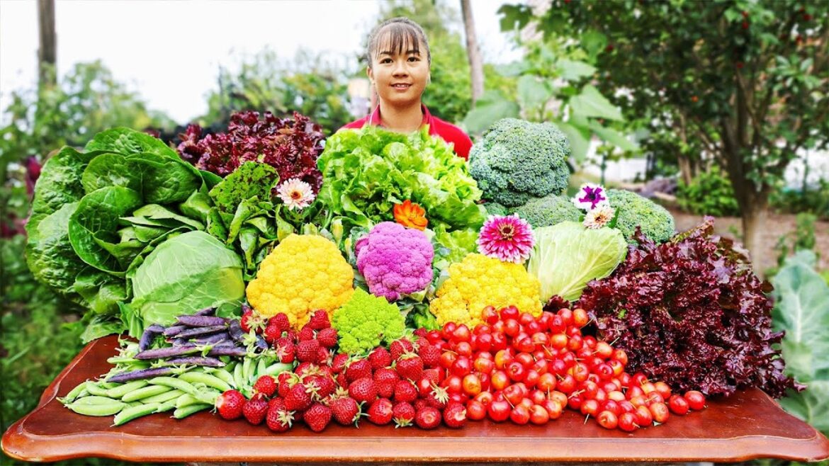 Harvest Sponge Gourd Goes To Market Sell - Vegetable Gardening | Tiểu Vân Daily Life