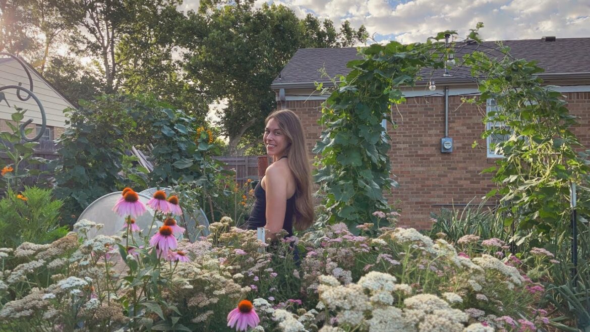 So Much Has Changed!! July 2024 Backyard Garden Tour - Gardening In Kansas