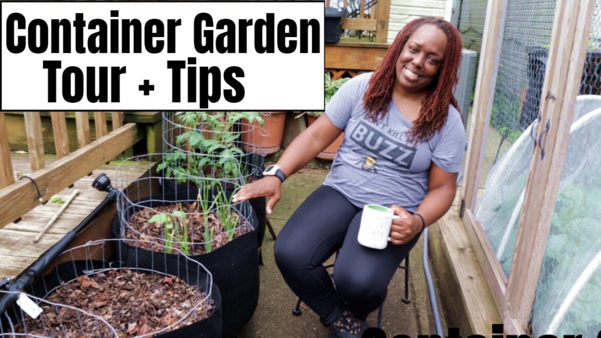 Container Garden Tour +Tips for Success! Container Garden Tour +Tips for Success!