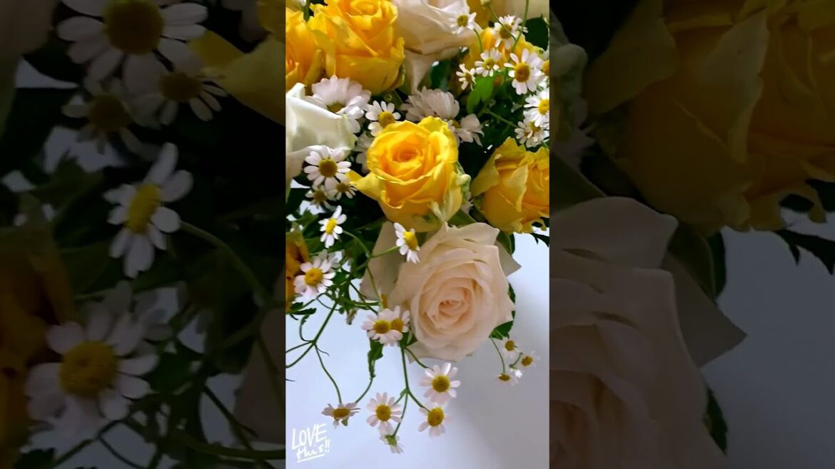 Beautiful plans flowers #flowers #plantas #nature #garden #plantparts #floweringplant #birds