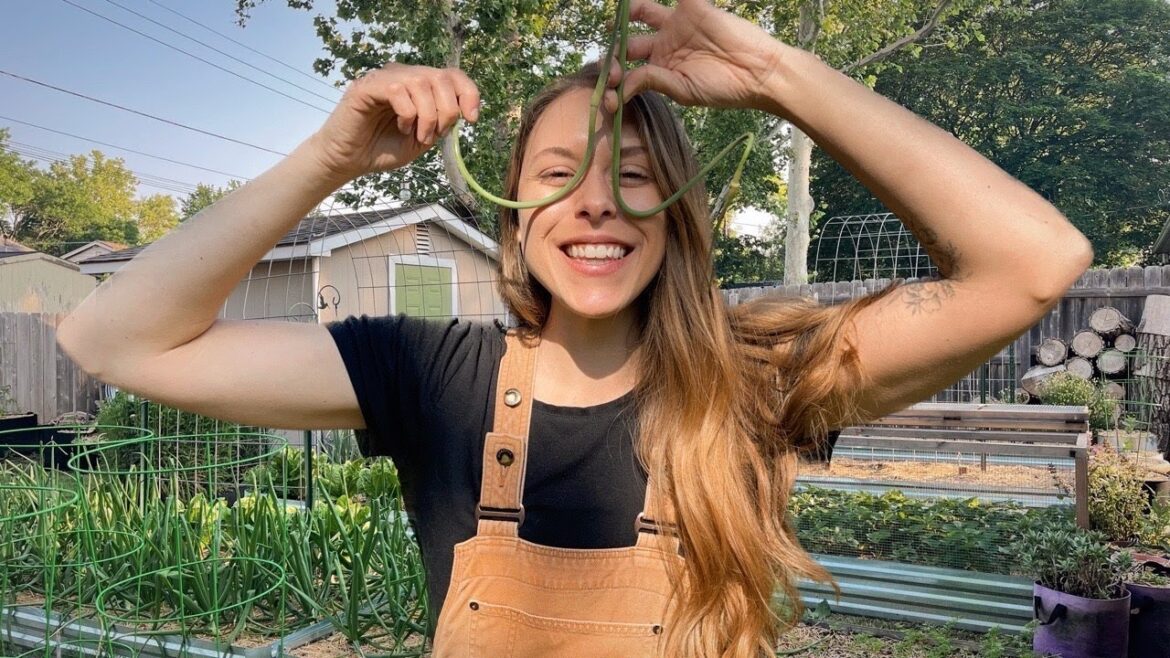 May 2024 Backyard Garden Tour! Growing Hundreds Of Pounds Of Food In My Backyard!