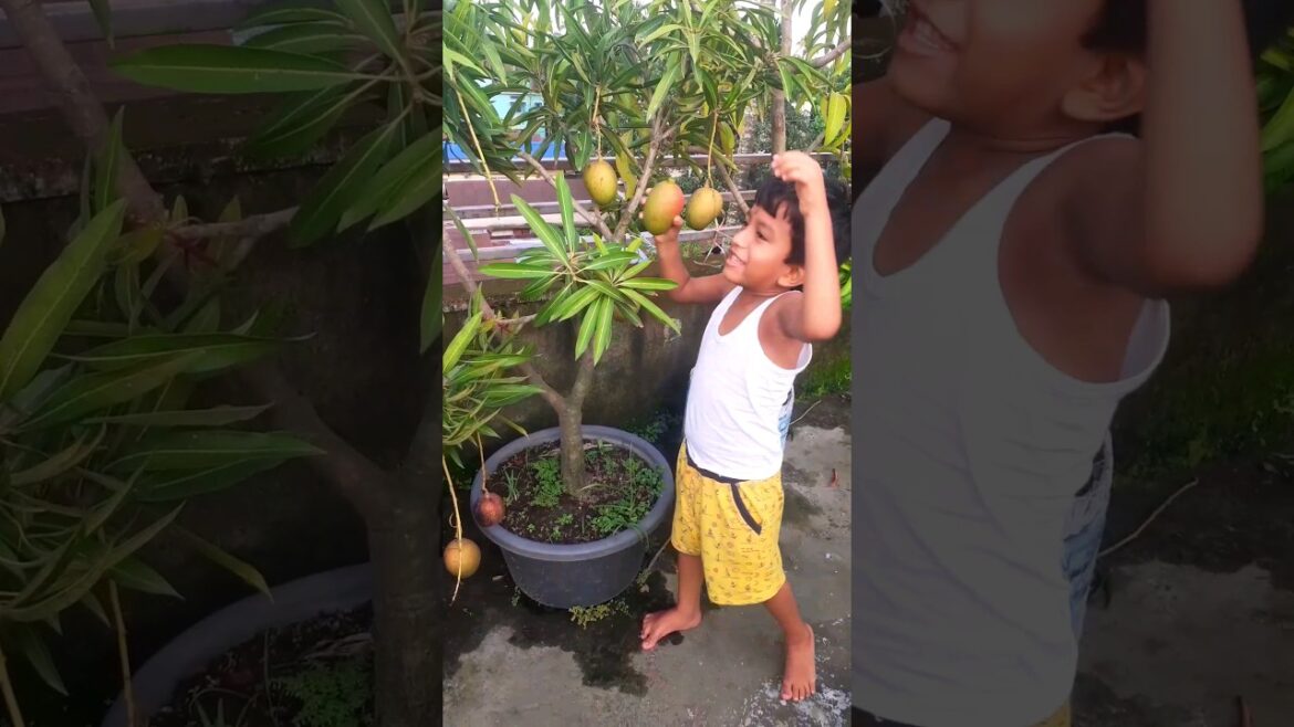 Gardening Tips #garderningtips #gardening #shorts