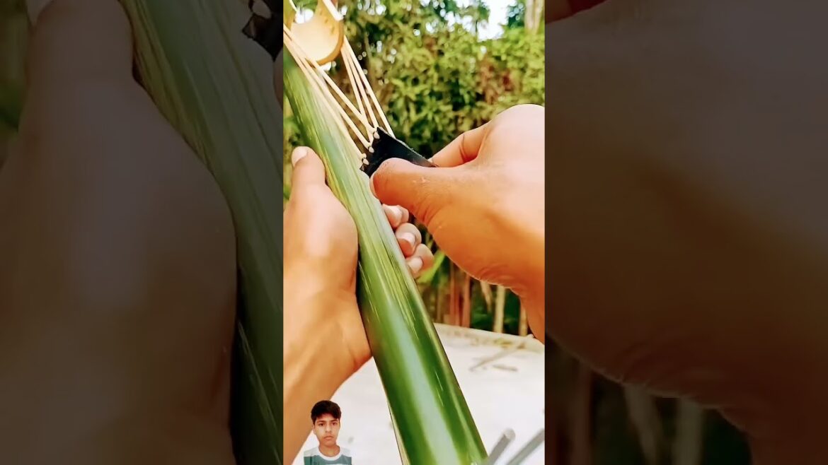 new bamboo | #bambooshoot #bamboo #archery #bamboogun #reels  #bamboohut | #trending