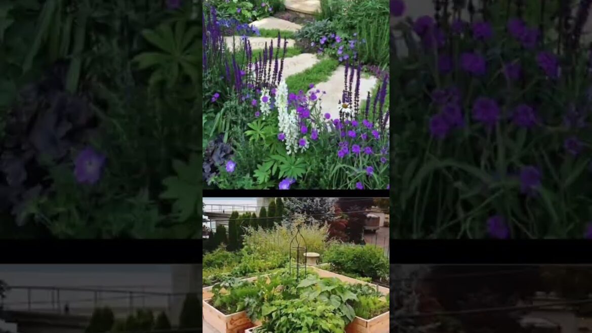 Ideas for small garden design | Small yard landscaping ideas Ideas for small garden design | Small yard landscaping ideas
