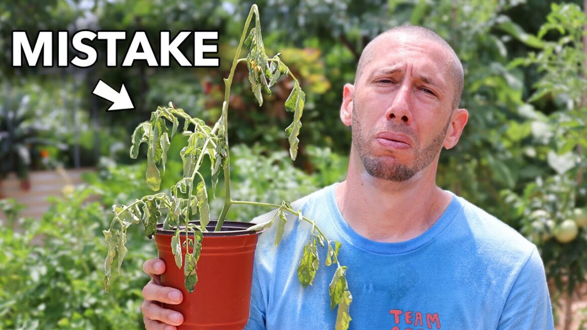 James Prigioni: You’re Probably Killing Your Plants by NOT DOING these 7 Things NOW You’re Probably Killing Your Plants by NOT DOING these 7 Things NOW