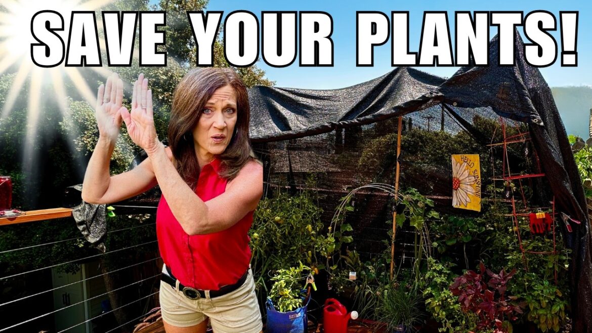 Save Your Plants! Best Container Heat Protection Revealed