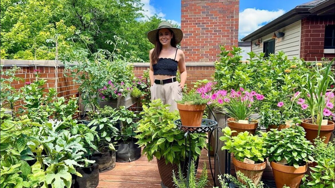 July Container Garden Tour! West Rooftop Deck Garden🪴