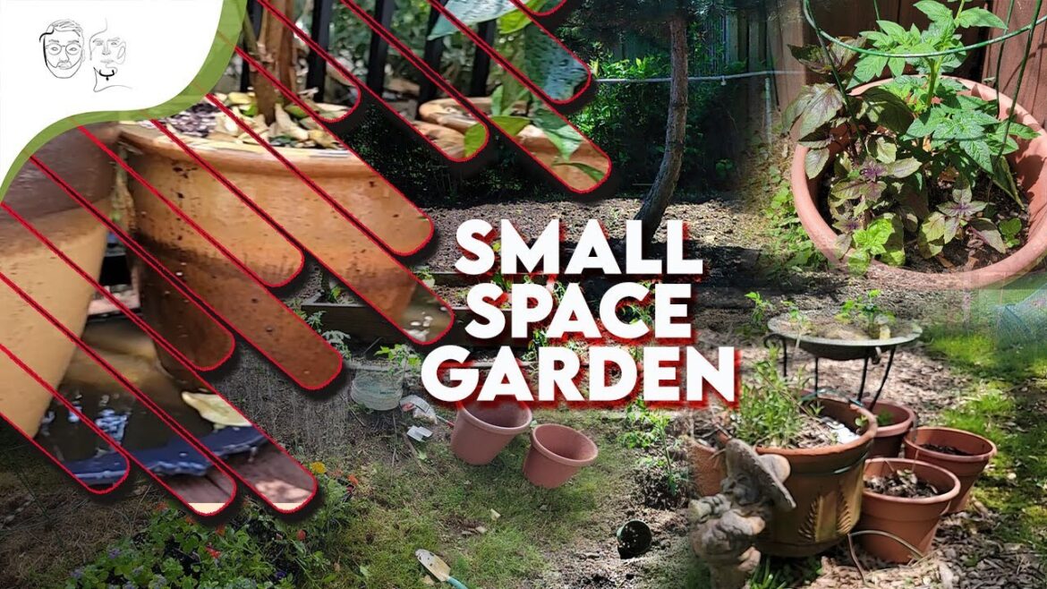 Start a Small Space Garden | Container Gardening Tips for Flowers & Vegetables by @MyFriendBob