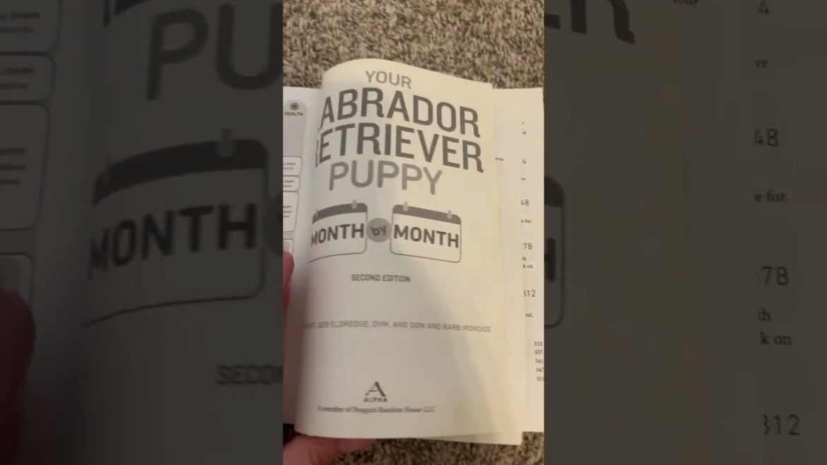 Labrador Owners Must Have Book