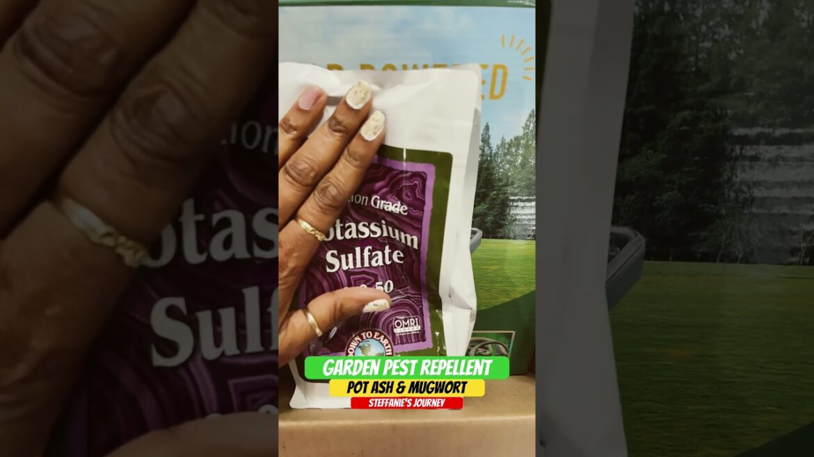 How To Protect Your Garden From Pest || Urban Garden || Steffanie’s Journey How To Protect Your Garden From Pest || Urban Garden || Steffanie’s Journey