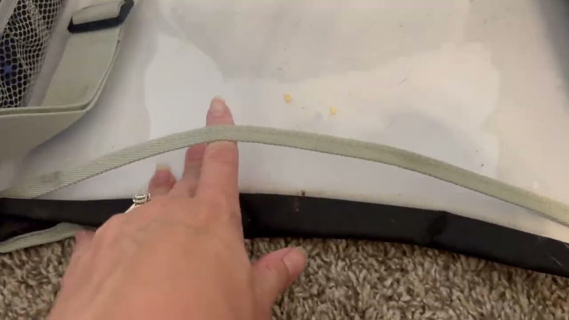 Mom's Favorite Road Trip Necessity