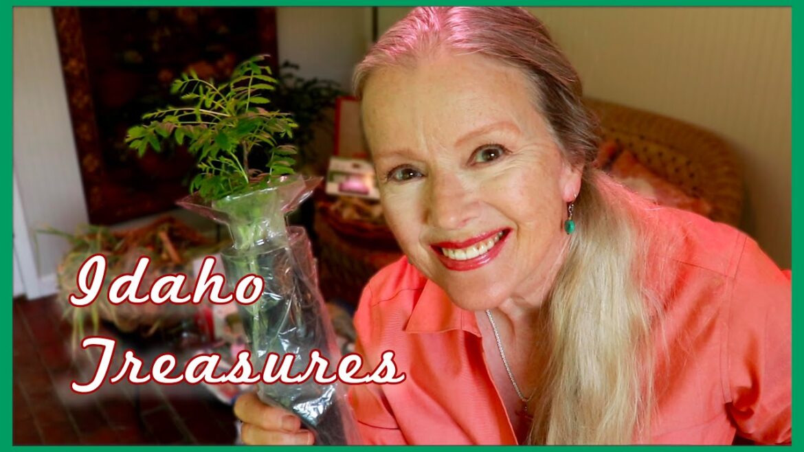 Kaye Kittrell: My Idaho Haul | Modern Homesteading Conference My Idaho Haul | Modern Homesteading Conference