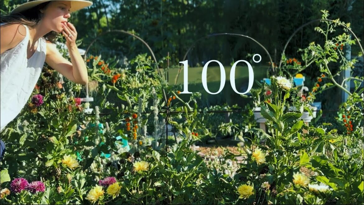 How to Garden in a Heat Wave: Resilient Garden TOUR | no dig, organic polyculture with microclimates