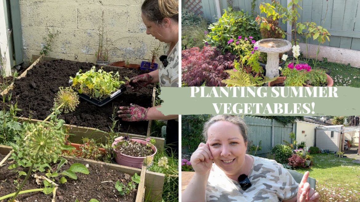 Planting lots of summer vegetables, plans for the house & how it’s affecting my gardening! Planting lots of summer vegetables, plans for the house & how it's affecting my gardening!