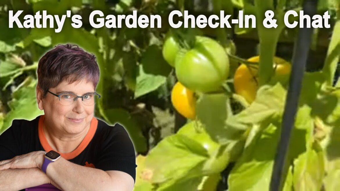 Chat and Container Garden Show and Tell!