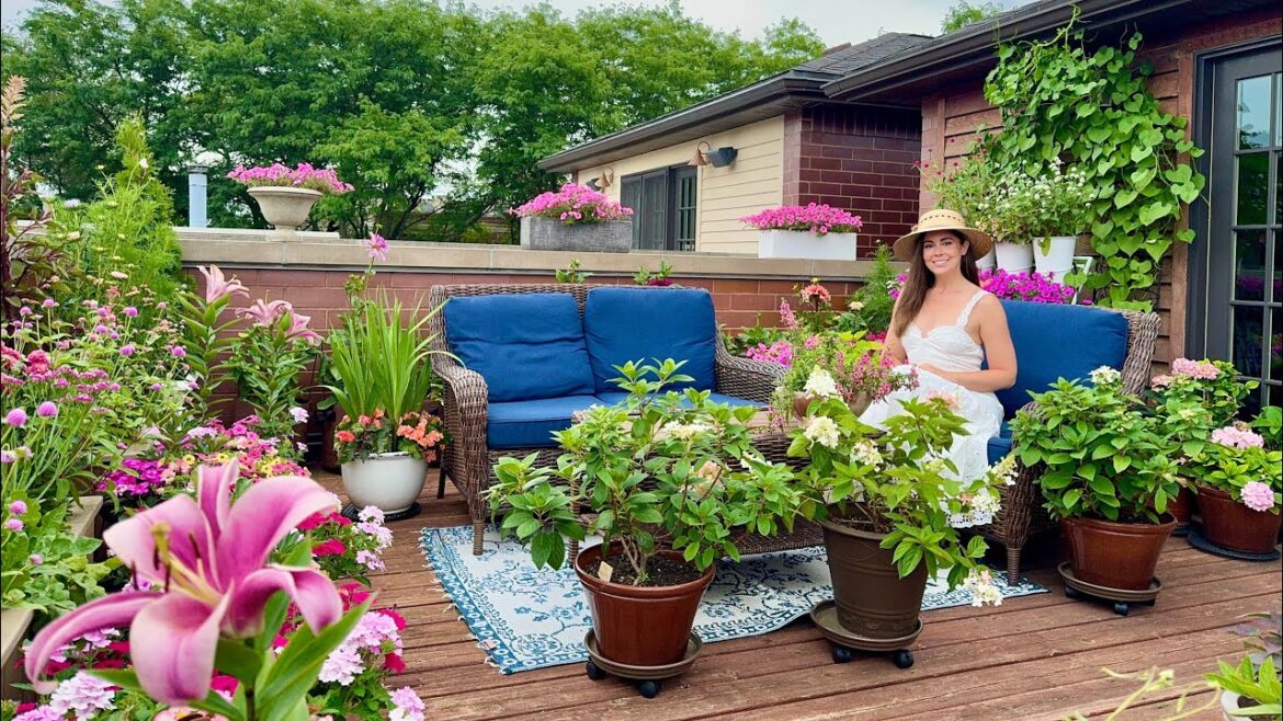 Rooftop Flower Garden Grown All In Containers | July Garden Tour Rooftop Flower Garden Grown All In Containers | July Garden Tour