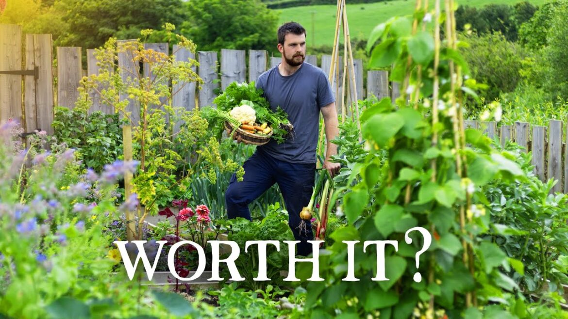Huw Richards: Growing your own food matters more than ever. Growing your own food matters more than ever.