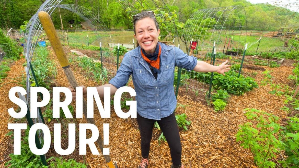 Lazy Gardening Has Paid Off! | FULL Spring Garden Tour 2024! Lazy Gardening Has Paid Off! | FULL Spring Garden Tour 2024!