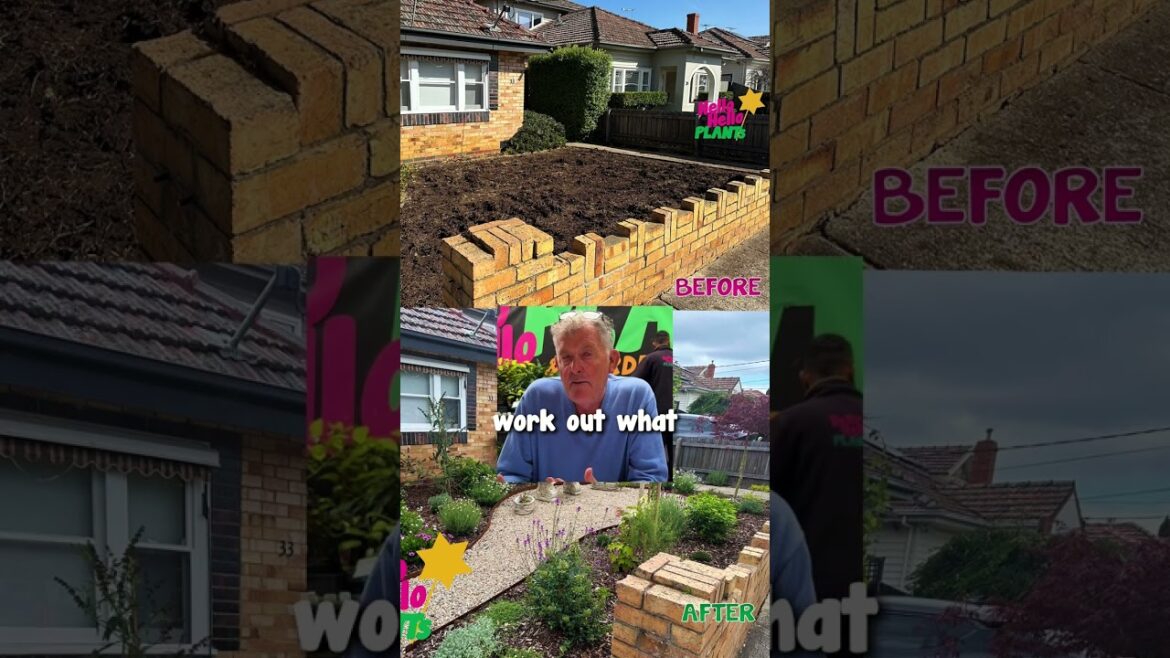 The Main Priorities when I Create a Garden Design.