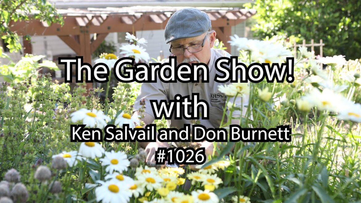 The Garden Show Podcast - Episode #1026 or #1799 June garden tips