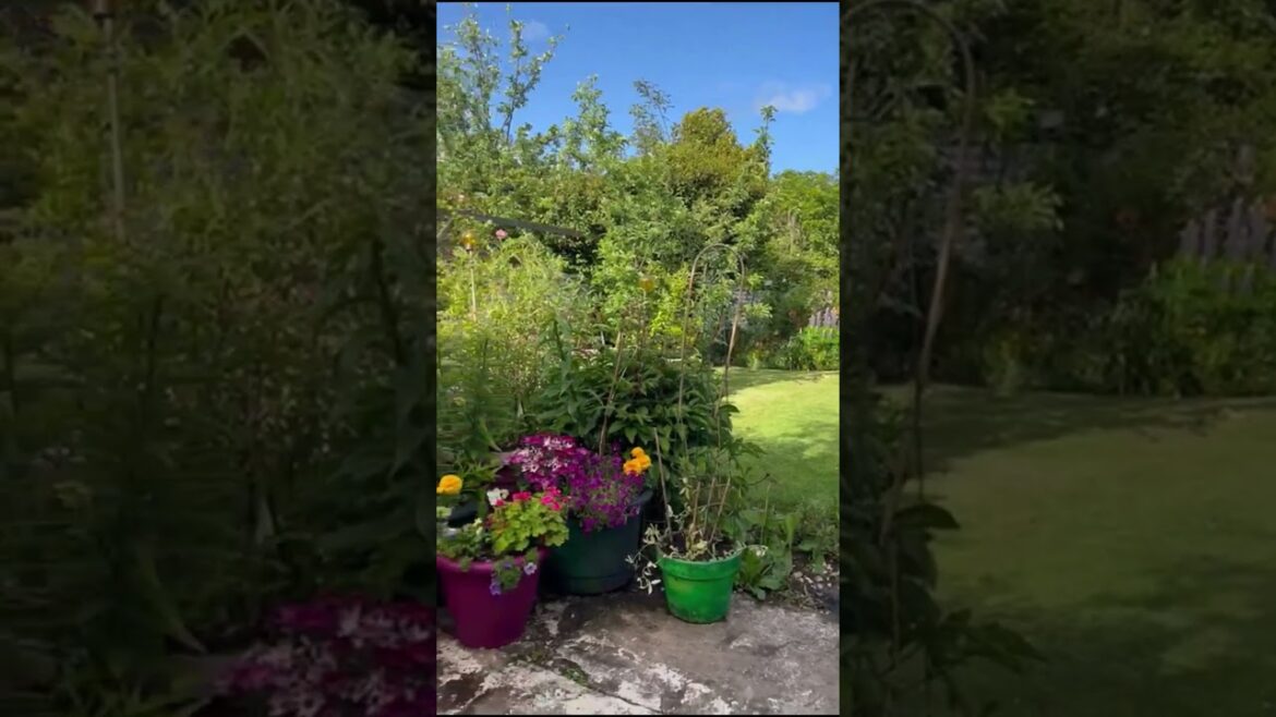 Garden Design #shorts #natureshorts
