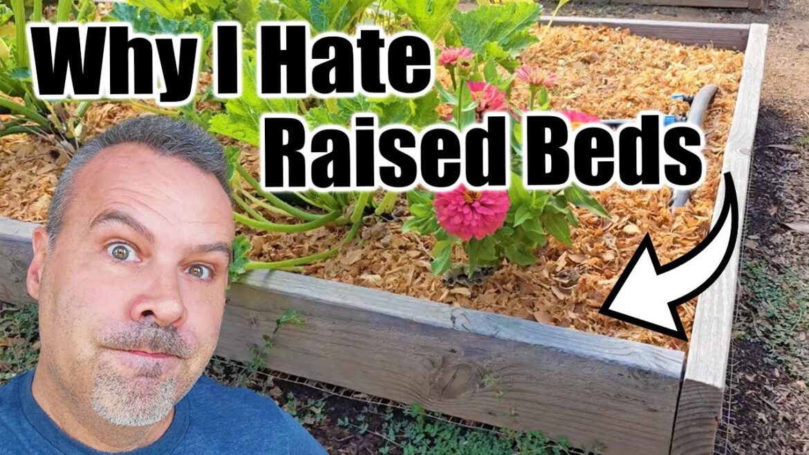 California Garden TV: 7 Downsides of Raised Bed Gardening 7 Downsides of Raised Bed Gardening