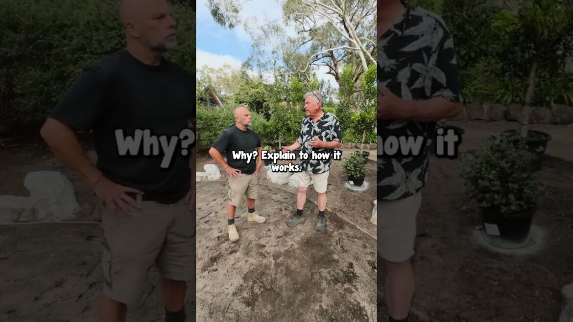 This is my Second Garden Design With James This is my Second Garden Design With James