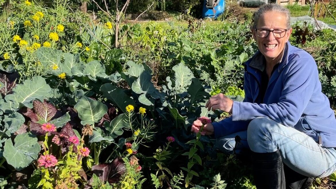 Permaculture Vegetable Gardening - A Little Bit of Time Every So Often!!